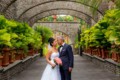 luxury wedding venues in Costa Rica