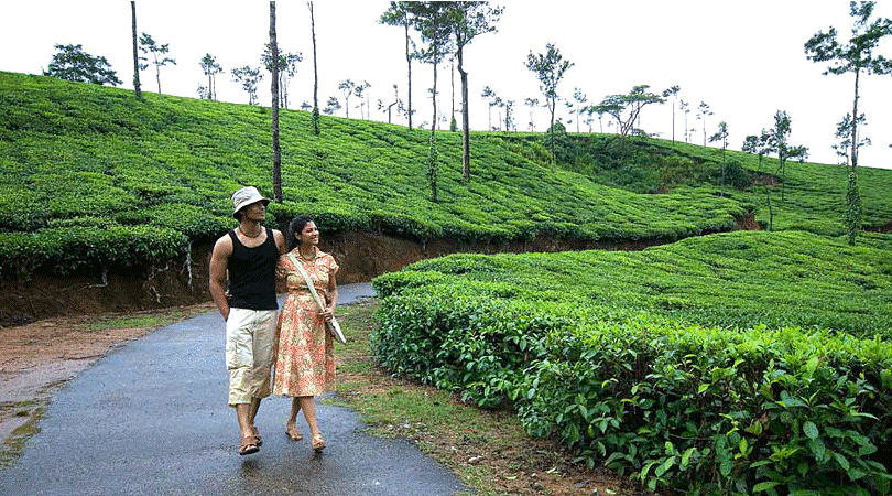 Chikmagalur Pre Wedding Shoot Places