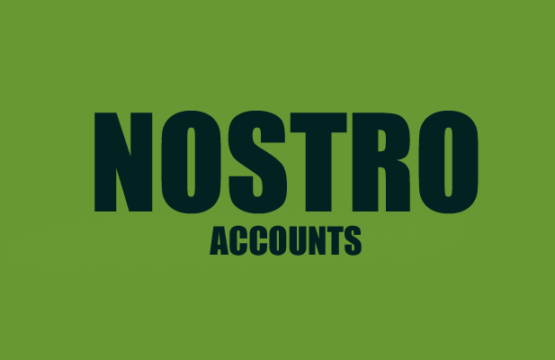 Understanding NOSTRO Accounts and Their Impact on Global Payments